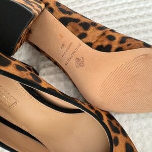 Antonio melani cheetah pumps/heels